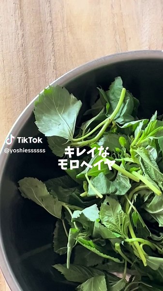 、 モロヘイヤのおひたし 〈材料〉 モロヘイヤ 100g 茹でるとき用に塩 ひとつまみ ⭐︎基本のおひたしのタレ しょうゆ 大さじ1杯 みりん 小さじ1杯 水 小さじ1杯 かつお節 お好きなだけ ※めんつゆでもOK めんつゆ（2倍濃縮） 大さじ1杯 アラビア語で『王様の野菜』✨ ネバネバか癖になる夏の定番野菜 ゆでて和えるだけ 簡単でおいしくて栄養豊富 最高じゃん ぼちぼちモロヘイヤの旬も 終わりごろですが スーパーで見かけたらぜひぜひ （モロヘイヤの旬は6〜9月） モロヘイヤのおひたし 作ってみてね うす味のおひたしで 作り置きしとけば お味噌汁の具にしても美味しいです #モロヘイヤ #モロヘイヤレシピ #モロヘイヤのおひたし #おうちごはん #ごはん記録 #王様の野菜 #簡単レシピ #緑黄色野菜 #今日もおかんは元気です