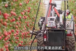 jxhxgha*ush (@dyuqbv47lns5) 的影片使用了 原聲 - jxhxgha*ush