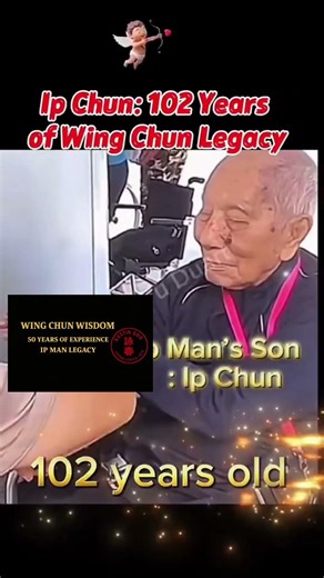 Ip Man Wing Chun
