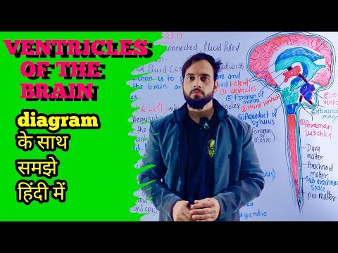 Ventricles of the brain | Brain ventricles | ventricles of the brain anatomy | diagram | types