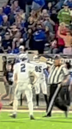 Tiger Greatness: Garrett Mays Intercepts Deep Ball In Leaping Fashion For The Tigers