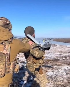 2.5M views · 10K reactions | Good hunt our little friend. | In Ukraine | Facebook