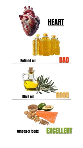 What's Bad, Good, and Excellent For Your Organs? 🧠❤️🫁