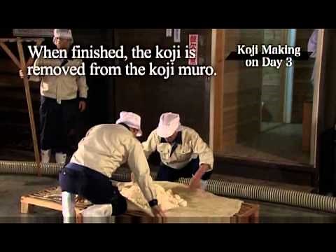 Making Japanese Sake