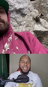 🐿️💛 Siempre alimenta a esta adorable ardilla, y ella confía tanto en él que hasta se sube encima 😍📸 Sus videos ya se han vuelto virales por la ternura que transmiten. #sigueme #siky #animal #animales #animals #animallove | Siky