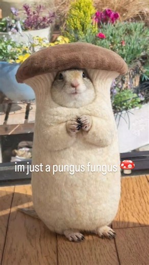 @seizuigns on Instagram: "woah trippy 🍄🫨🌈#prairiedog #richardsonsgroundsquirrel #fat #fats #niche #memes #carrots #fungus #mushroom"