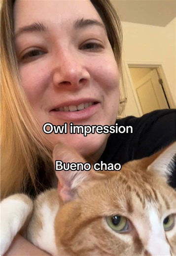 Spanish Owl Impression: A Fun Twist