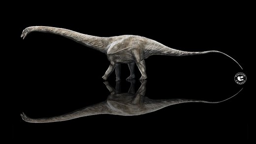 Supersaurus might be the longest dinosaur that ever lived
