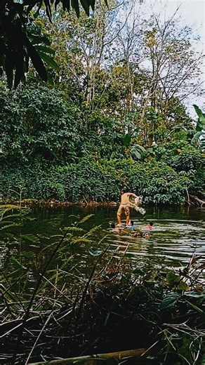 Traditional way of catching fish using nets