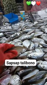 Isang uri ng sapsap kong tawagin sa amin ay sapsap talibono #isda #palengke #wetmarket | Lita Garung Ebueng