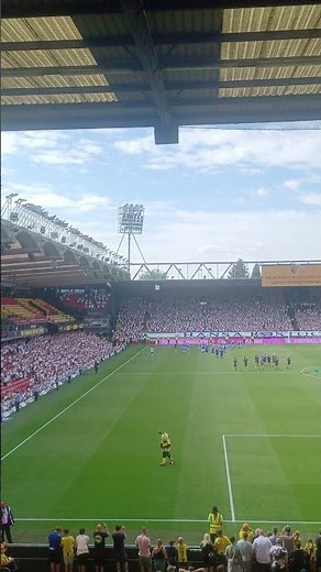 Both Watford and Hansa players thank 6000 away German fans for their performance during the game
