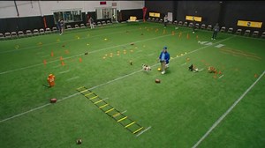 Pedigree Pup-lete: Following Direction Campaign 2026  commercial