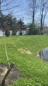 1.2M views · 44K reactions | Today marks a full year since Judah's accident. I prepared a documentary of our journey over the last 365 days and thought I'd be able to share the entire story today. Not gonna happen. This was all my heart could relive for one day. Here is part 1. Part 2 to follow tomorrow. #JudahStrong | The Lion of Judah | Facebook