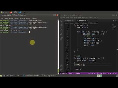 C言語でバブルソートを細かく解説してみた【データ構造とアルゴリズム】