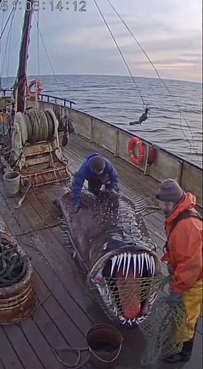 Terrifying Deep Sea Monster Caught on Ship Deck | CCTV Footage
