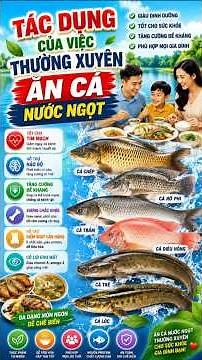 TÁC DỤNG CỦA VIỆC THƯỜNG XUYÊN ĂN CÁ NƯỚC NGỌT - Sức khỏe Đời sống - SEO
