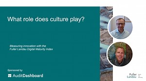 What role does culture play in the digital maturity index?