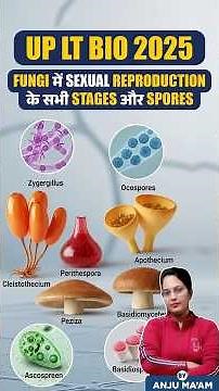 🍄 Fungi में Sexual Reproduction के सभी Stages और Spores by #AnjuMam 💡 UPLT 2025 #BiologyShorts