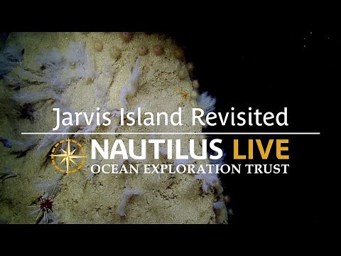 Breathtaking Biodiversity of Jarvis Island Revisited | Nautilus Live