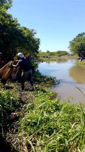 Increíble cantidad de peces en la pesca con atarraya