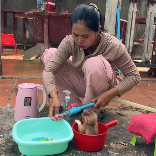 Cuties Baby Monkey Wipe Face After Cooling Morning Bath. . . #fblifestylelife #fblifestyle #fblifestylemanagement #fblifestyletyle #fblifestylechallenge #fblifestyle #reel #cute #animals #lovely #newbornbabymonkey #monkey | Cute Baby Monkey