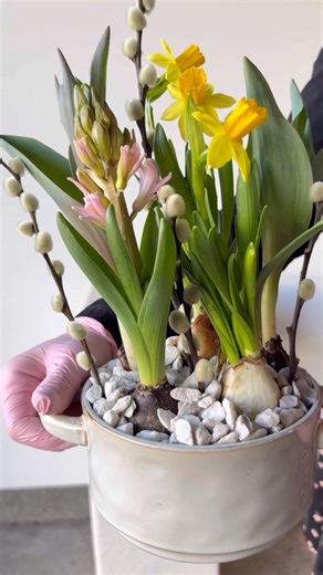 Spring Is Almost Here! This Is Your Sign To Plant A Container Garden #plantingideas #containergarden