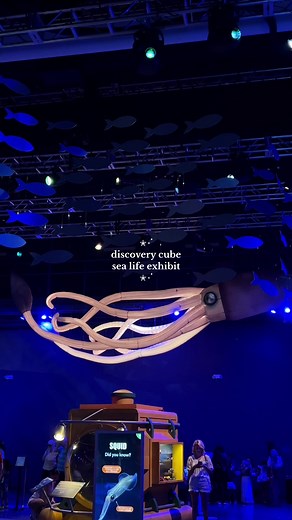 yippee!!!!! :3 we bought microbe plushies :3 #sealife #jellyfish | Sea Life