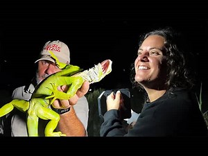 Running into wild gators in the Everglades