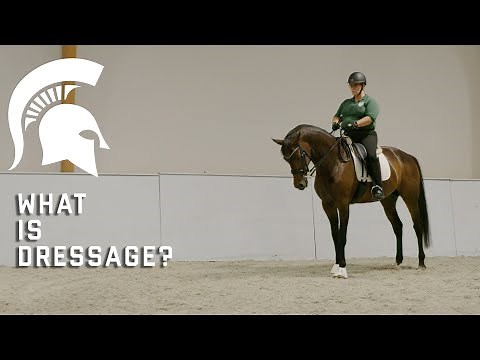What is Dressage?