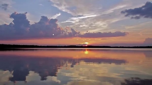 Fix: 0x0000001c: PFN_REFERENCE_COUNT Blue Screen Error in Windows 11/10 [Guide]