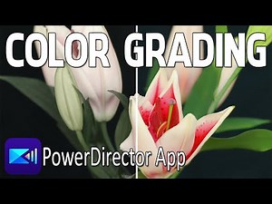 Color Grading Your Videos in 2 Minutes | PowerDirector App