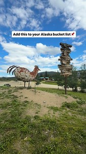 You’ll want to remember this stop! 📌 Chicken, Alaska might sound like a joke… but it’s a real stop along the Taylor Highway — and one you don’t want to skip. Once a gold-mining town, Chicken is now known for its quirky charm, great food, bush planes landing nearby, and Chickenstock Music Festival every summer 🎶🐔 During the festival, the whole town shows up — costumes, live music, fly-ins, and that classic Alaska community vibe. If you’re road-tripping Alaska, this is an easy (and fun) stop to