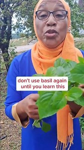 Basil Benefits 5 Reasons This Herb is a Health #shorts