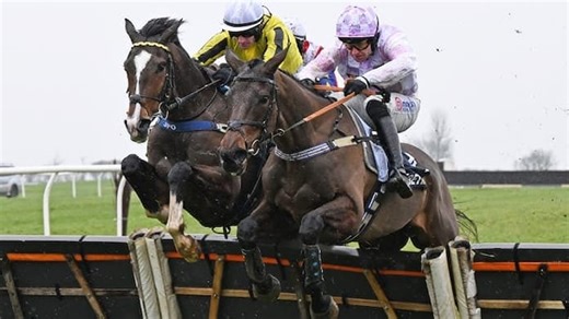 Champion Hurdle Carnage As State Man and Constitution Hill Fall