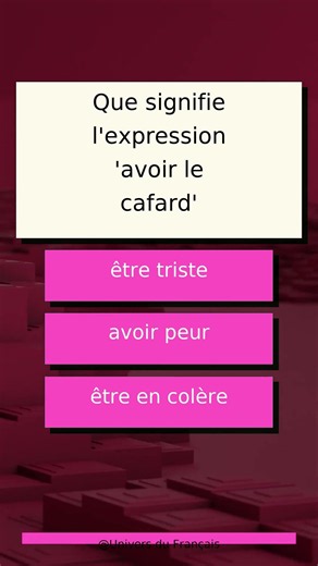 Expressions Idiomatiques