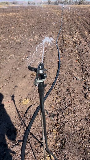 Aspersion 👨🏽‍🌾💧 #irrigation #aspersion #campomexicano #agricultura #reels | El Inge Zitla
