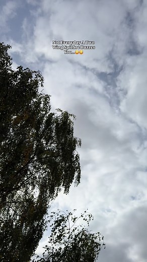 This Two Wing Spitfire Really Buzzed Me.. #biplane #spitfire #planespotting | CA Aviation