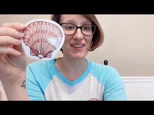 There Was an Old Lady Who Swallowed a Shell read aloud