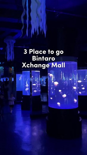 Activity Seru di Bintaro Xchange Mall