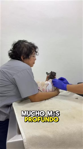 1K views · 520 reactions |  TALLER PRESENCIAL: DEL MIEDO AL CONTROL...