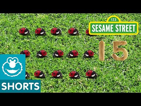 Sesame Street: 15 Ladybugs in the Garden