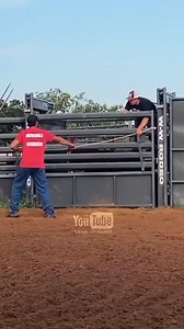 Calk on the cowboy robot MP Machine #rodeolife #rodeoh #rodeoand5thlifestyle #rodeotimetuesday #rodeohorse #Rodeorealty #rodeoready #RodeoShow #rodeodr #rodeodriveboutique #rodeoqueen #rodeohs #rodeocowgirl #RodeoAustin #rodeogirls #rodeohouston #rodeotraviscott #rodeosport #RodeoDrive #rodeotime #rodeo #RodeoCrowns #rodeostyle #rodeofashion #rodeoannouncer #rodeoand5th #rodeophotography #rodeos #rodeofun #rodeocrownswidebowl | RODEO Channel