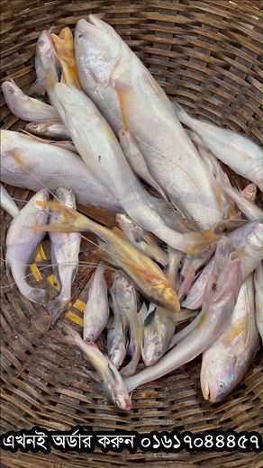 22K views · 238 reactions | Fresh Payra Hilsha #fishing #virals #shooping | Fish Vally | Facebook