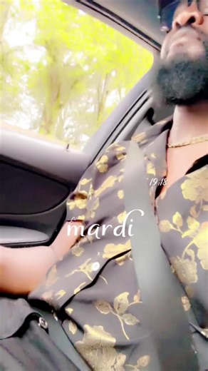 Commandant zabra sur TikTok