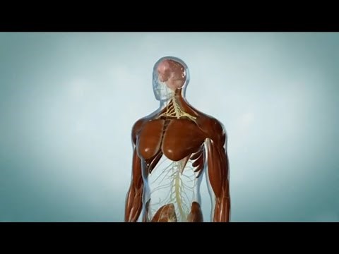 Myasthenia Gravis (MG) : causes, symptoms, diagnosis & treatment options