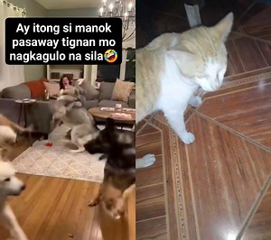 Nagulat silang lahat eh #hilightseveryone #fbreels #fbreelsviral #viral #followers #goodvibes | Randy Leonero