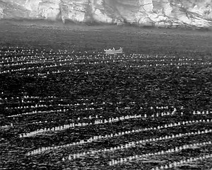 Secure Your Sea Cucumber Farm with Thermal Imaging Technology! The...