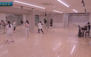 ハロドリ。 - 2022.11.28