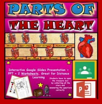 Parts of the Human Heart Powerpoint  Worksheets.Heart Anatomy.Circulatory System