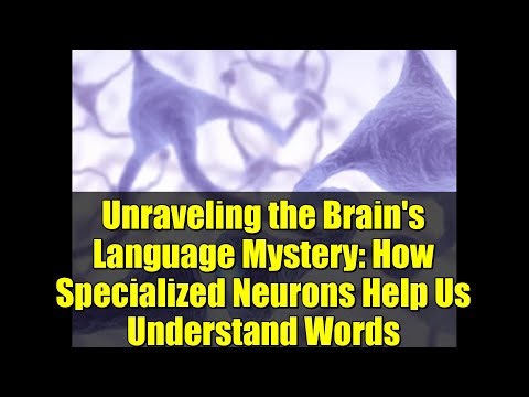 Unraveling the Brain's Language Mystery: How Specialized Neurons Help Us Understand Words